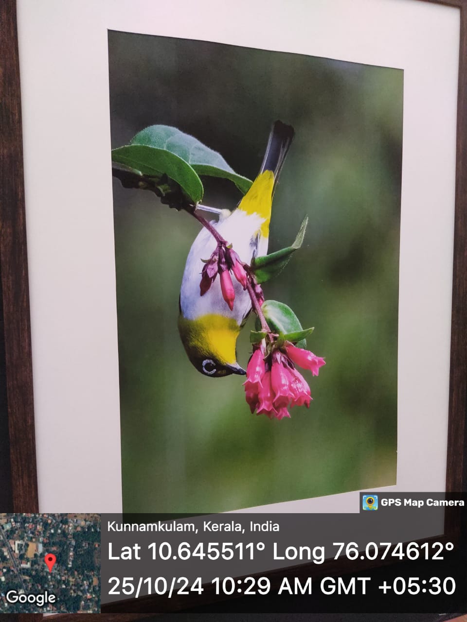 Induchoodan Bird Exhibition